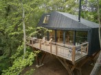 Starling treehouse